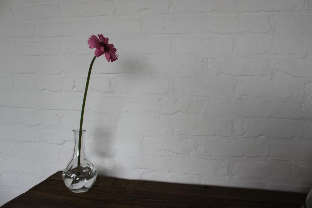 B&B 'T Hoogste ボルネム エクステリア 写真